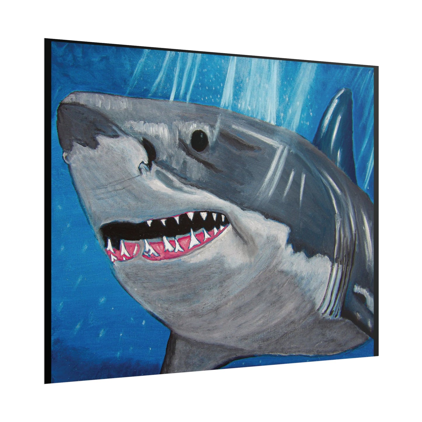 Great White Shark (Poster Print)