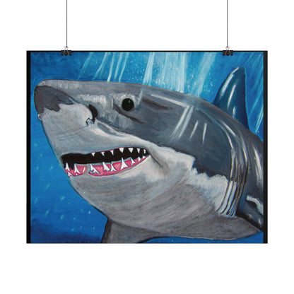 Great White Shark (Poster Print)