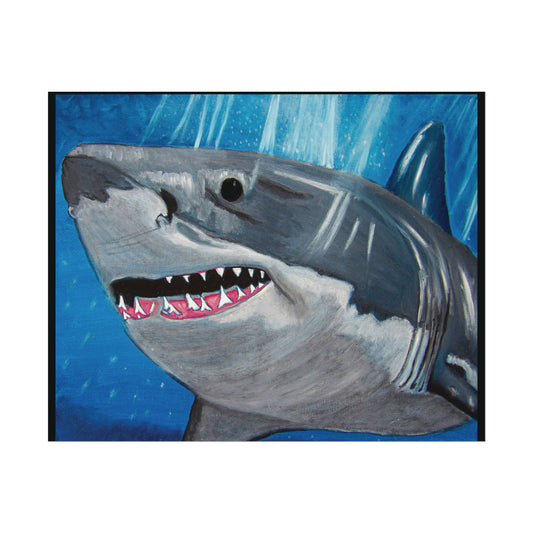 Great White Shark (Poster Print)