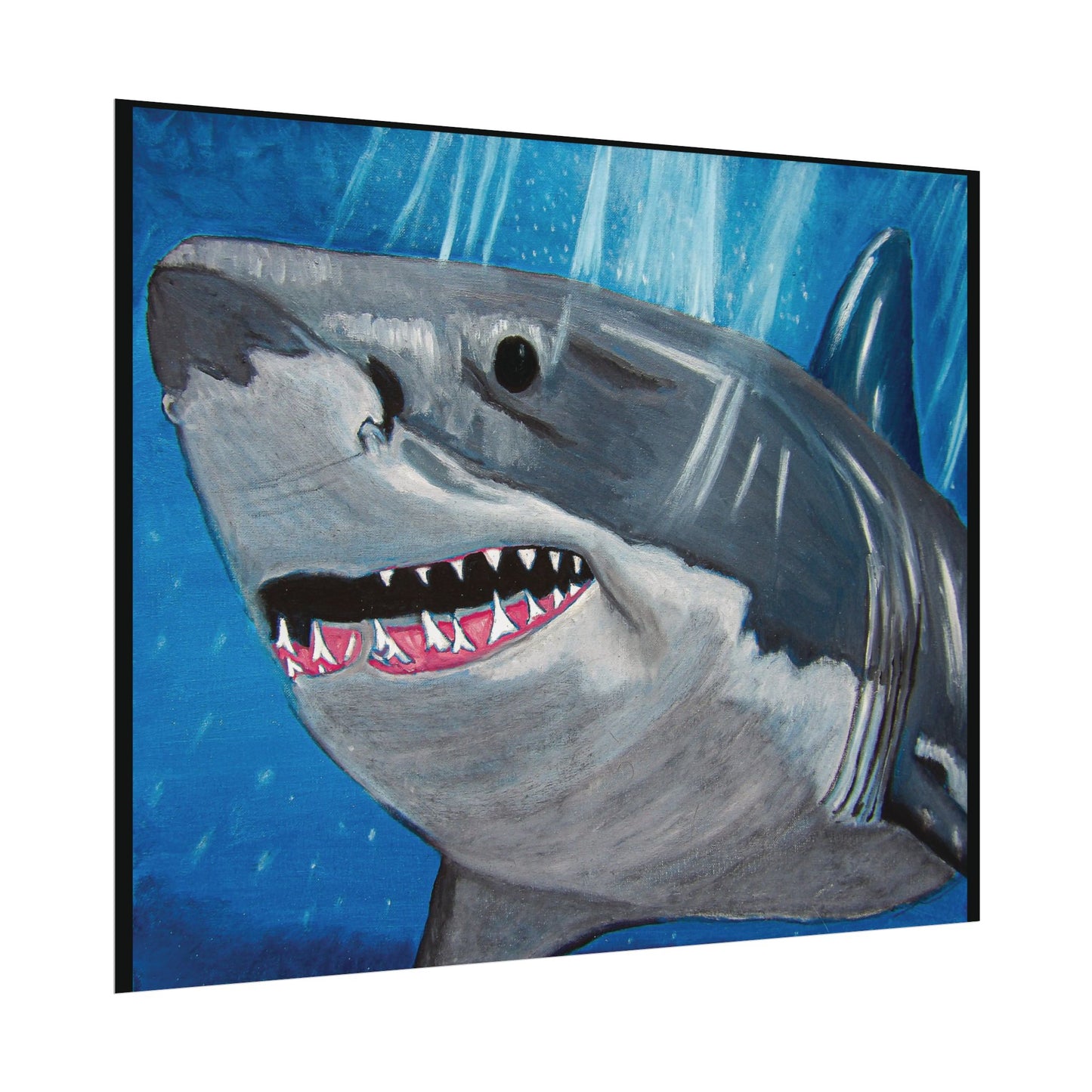 Great White Shark (Poster Print)
